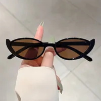 Fashion  New Cat's Eye Small Frame Internet Popular Same Style Sunglasses Street Shot Slimming Personalized Trendy  Style Sunglasses sku image 2