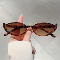Fashion  New Cat's Eye Small Frame Internet Popular Same Style Sunglasses Street Shot Slimming Personalized Trendy  Style Sunglasses sku image 6