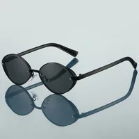 New Classic Retro Oval Frame Fashion Sunglasses Men's Driving Outdoor Sunshade Sunglasses sku image 6