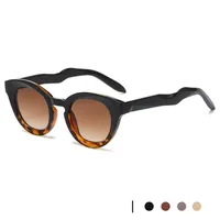 New New Fashion Oval Sunglasses Personalized Fashion Cat's Eye Sunglasses Internet Celebrity Street Photoshoot UV-proof Glasses main image 4