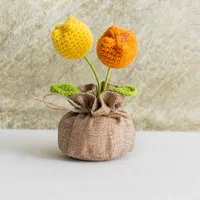 Handmade Crocheted Lucky Bag Small Potted Plants Home Furnishings Woolen Knitted Finished Rose Decoration Simulated Flower Potted Plants sku image 13