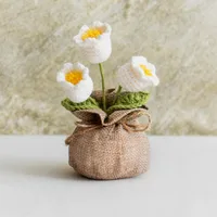 Handmade Crocheted Lucky Bag Small Potted Plants Home Furnishings Woolen Knitted Finished Rose Decoration Simulated Flower Potted Plants sku image 19