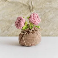 Handmade Crocheted Lucky Bag Small Potted Plants Home Furnishings Woolen Knitted Finished Rose Decoration Simulated Flower Potted Plants sku image 43