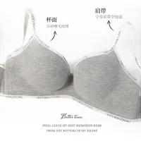 Traceless Underwear Women's Gathering Small Chest Showy Large Autumn And Winter Non-steel Rings Soft Support Anti-sagging Paramelic Bra main image 2