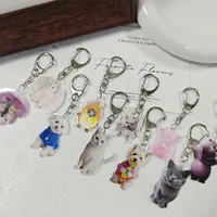 Adorable Double-Sided Printed Acrylic Cat Dog Keychain Pendant Fashionable Animal Style Accessory Suitable For Daily Use main image 1