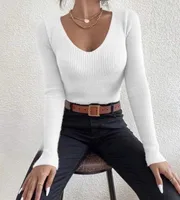 Slim Fit V-Neck Knitwear Women's Fashionable Inner Wear Autumn Winter Polyester Long Sleeve Commute City Style Knitted Sweater sku image 5