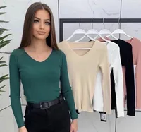 Slim Fit V-Neck Knitwear Women's Fashionable Inner Wear Autumn Winter Polyester Long Sleeve Commute City Style Knitted Sweater sku image 6