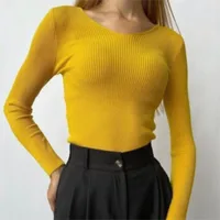Slim Fit V-Neck Knitwear Women's Fashionable Inner Wear Autumn Winter Polyester Long Sleeve Commute City Style Knitted Sweater sku image 8