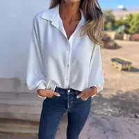 Autumn And Winter Wild Long Sleeve Women's Collar Decorated With Buttons Shirt Top Single Button Closure Regular Sleeve Length Fashion main image 2