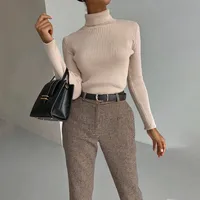 Slim Fit Turtleneck Knitting Sweater Autumn And Winter Plus Size Lengthened Bottoming Shirt European Style Long Sleeve Solid Color Commute main image 4