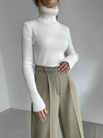Slim Fit Turtleneck Knitting Sweater Autumn And Winter Plus Size Lengthened Bottoming Shirt European Style Long Sleeve Solid Color Commute sku image 2
