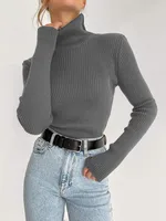 Slim Fit Turtleneck Knitting Sweater Autumn And Winter Plus Size Lengthened Bottoming Shirt European Style Long Sleeve Solid Color Commute sku image 7