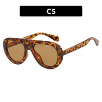 Stylish Round Frame Frog Glasses Sunglasses Personality Small Frame Classic Style Travel And Streetwear Sun Protection sku image 5
