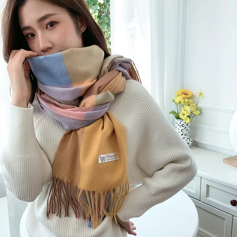 Women's Casual Simple Style Color Block Imitation Cashmere Tassel Scarf