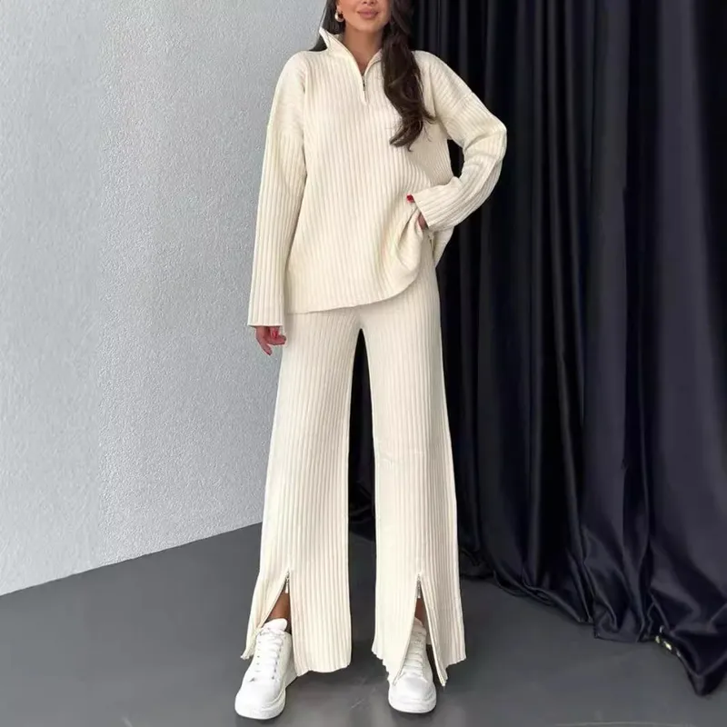 Casual Daily Women's Streetwear Solid Color Spandex Polyester Zipper Pants Sets Pants Sets