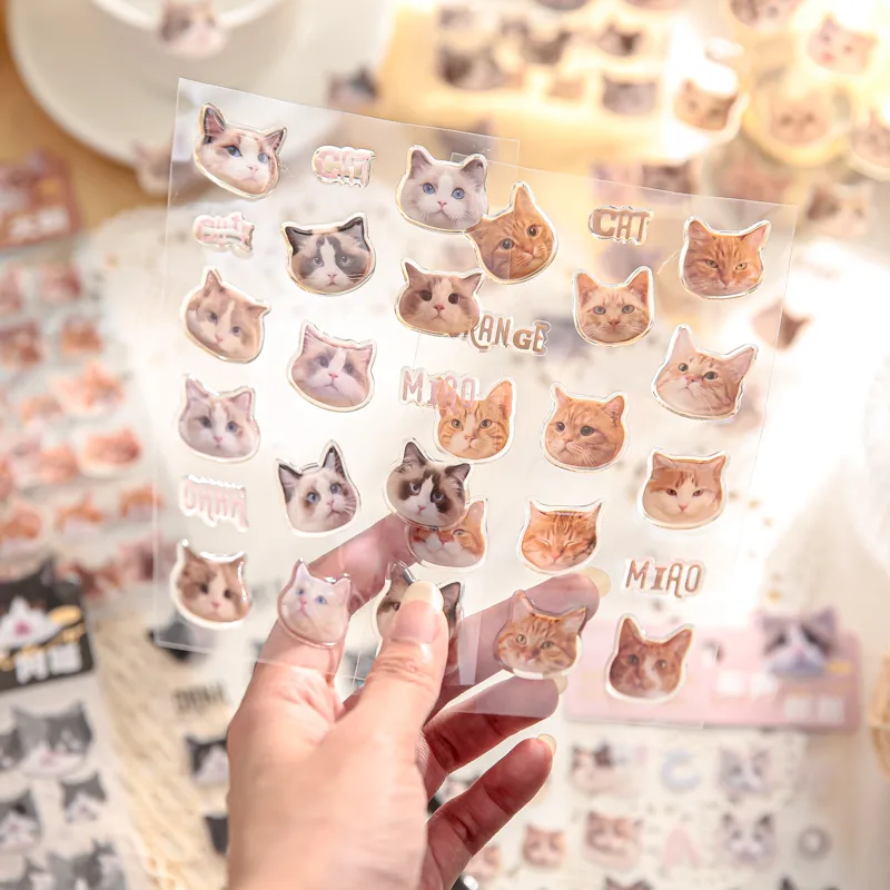3 Sheets Per Pack Cat Learning School PVC Paper Cute Stickers