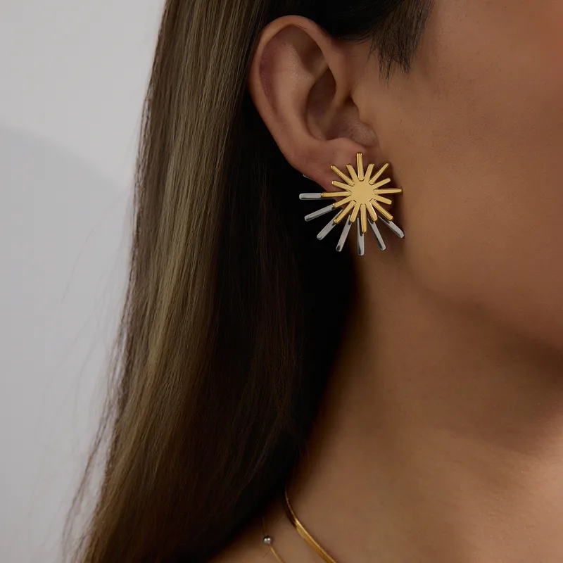 Basic Modern Style Simple Style Geometric Sun 316 Stainless Steel  Earrings Ear Studs