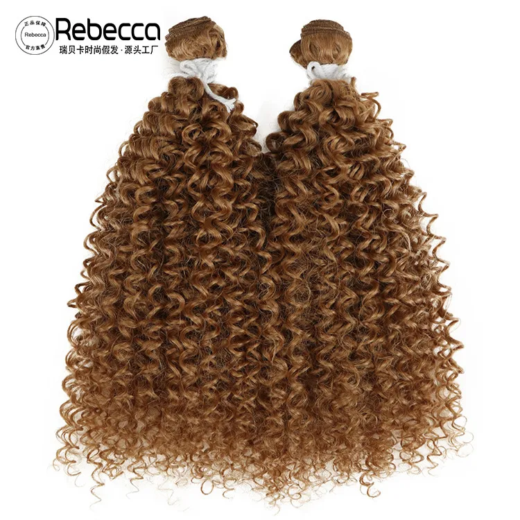 Women's Elegant Simple Style African Style Casual Stage Street Curls Wigs