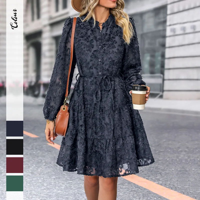 Spring Autumn New European American Long Sleeve See Through Embroidered Dress Elegant Style Polyester Fabric A-Line Skirt