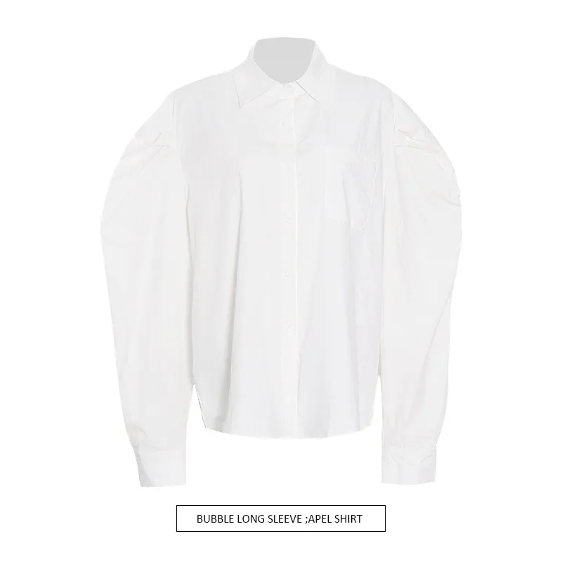 Casual Women's Fashion Shirt Summer New Polo Collar Long-Sleeved Versatile Top Single Button Trueran Blend
